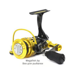 Zauber-CF-2000