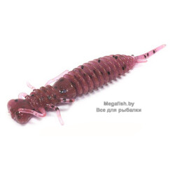 Larva-2.5-021