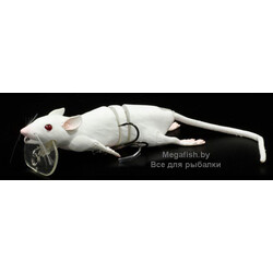 3D-Rad-20-03