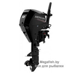 ME-F10-EFI
