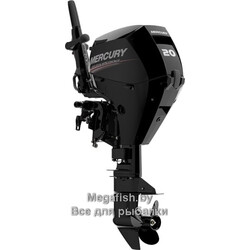 ME-F20-E-EFI