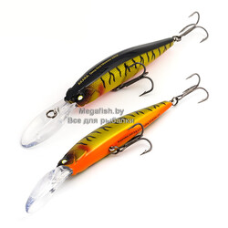 Deep-Best-Minnow-100SP-A112