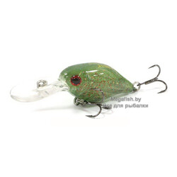 Cranky-X-40L-A237G-UV