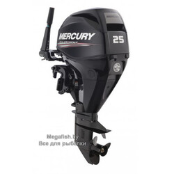 ME-F25-E-EFI
