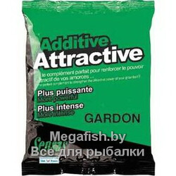 ATTRACTIVE-Gardon