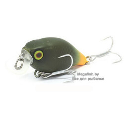 Chubby-38F-GREEN-PELLET-ORANGE