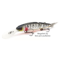 Magallon-Diving-UV MAT SILVER TIGER