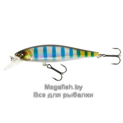 MINNOW-X