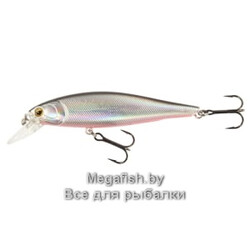 MINNOW-X