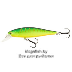 MINNOW-X