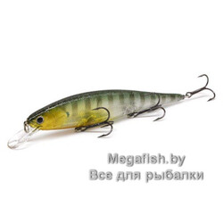Flake Flake Golden Sun Fish