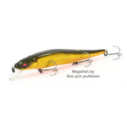 gg-megabass-kinkuro