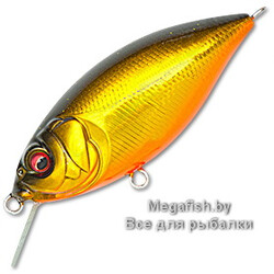 GG-MEGABASS-KINKURO