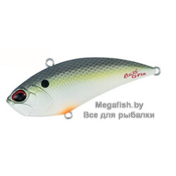 ACC3083