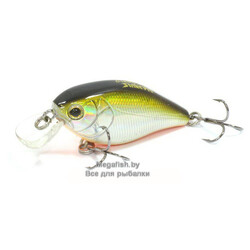 Cranky-X-50-612T