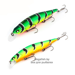 Best-Minnow-100SP-A107