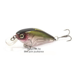 Cranky-X-50-A212G