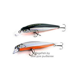 Best-Minnow-100SP-A23