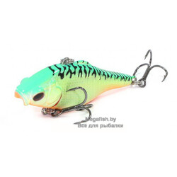 Rat-V50S-HT