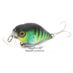 hl-blue-gill