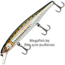 Mag-Squad-115SP-iwashi-border-hl