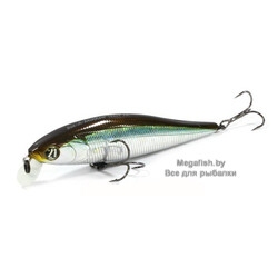 Vobler-Pontoon-21-Bet-A-Minnow-92SP-SR-005
