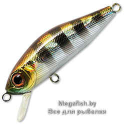 Vobler-Pontoon-21-Crackjack-38SP-DR-007