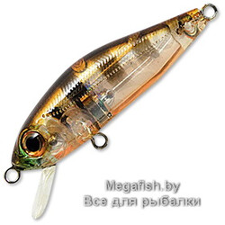 Vobler-Pontoon21-CrackJack-38SP-MR-008