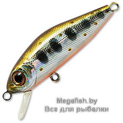 Vobler-Pontoon21-CrackJack-98SP-DR-050