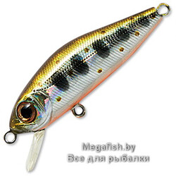 Vobler-Pontoon-21-Crackjack-38SP-DR-050