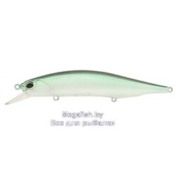 Vobler-DUO-Realis-Jerkbait-110SP-CCC3116