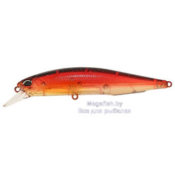 Vobler-DUO-Realis-Jerkbait-100SP-CCC3171