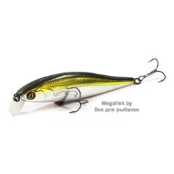 Vobler-Pontoon-21-Bet-A-Minnow-92SP-SR-R60