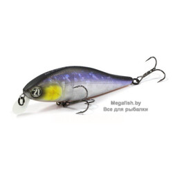 Vobler-Pontoon-21-Bet-A-Shiner-82SP-SR-A11