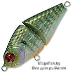 Vobler-Pontoon-21-LL-Bully-Boo-60-SS-234