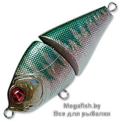 Vobler-Pontoon-21-LL-Bully-Boo-60-SS-239