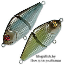 Vobler-Pontoon-21-LL-Bully-Boo-60-SS-333