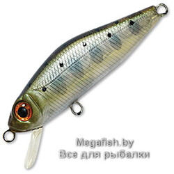 Vobler-Pontoon-21-Crackjack-48SP-SR-351
