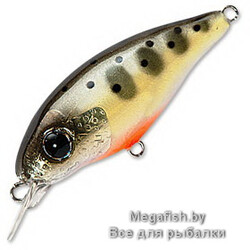 Vobler-Pontoon-21-Gem-34F-SR-503