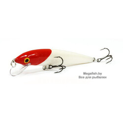 Vobler-Rapala-Husky-Jerk-10-RH