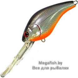 vobler-pontoon-21-panacea-fat-marauder-80f-dr-t011
