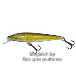 Vobler-Salmo-Pike-PE-9F-PE