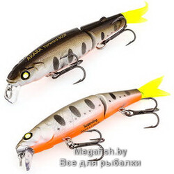 Vobler-Akara-Forward-90SP-A88