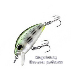 Vobler-Yo-Zuri-L-Minnow-MDM