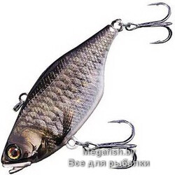 Vobler-Jackall-TN70-rt school kobuna