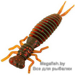 Tvister-Akara-Eatable-Insect-35-11