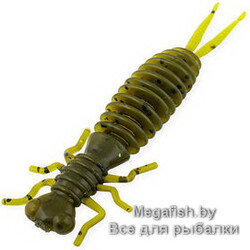 Tvister-Akara-Eatable-Insect-65-403