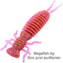 Tvister-Akara-Eatable-Insect-35-413