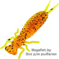 Tvister-Akara-Eatable-Insect-50-417