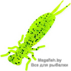 Tvister-Akara-Eatable-Insect-65-418